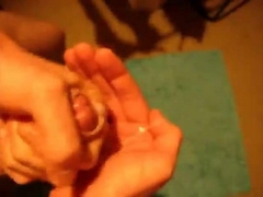 Amateur Webcam Masturbation and Cum6666