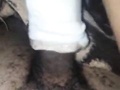 Desi lund se rat ko bottle ki chudail ki