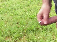 in the woods