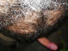 Maduro peludo