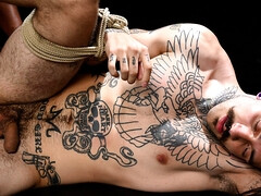 Hung bussy shocked by a BBC relentless fucking