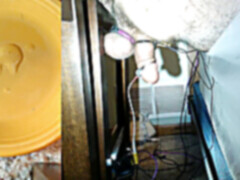 Bear sex, filmy hd, masturbacja