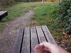 Jerking myself and cumming outside in a park
