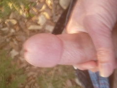 Jerking off in the woods