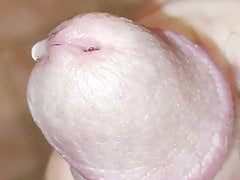 precum going down