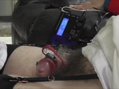 No Palms needed for Electro Climax