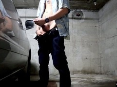 John Holmes Jr Parks Solo