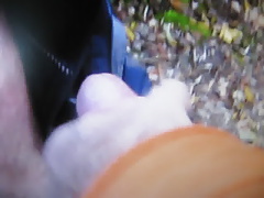 Wichsen im Wald 2