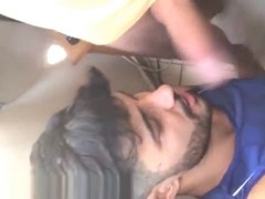 Mamada, dotado, pauzudo