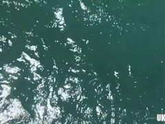 Watch this massive cock take on a hot load of cum