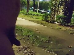 Nude walking in a park on the side of a busy highway and peeing