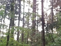 Cum in forest