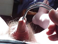 Foreskin in sunlight - 7 minute video
