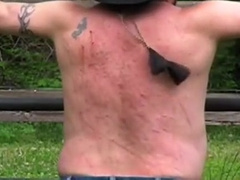 Bear Cowboy Quick Whipping