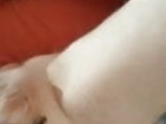 Macho se entretiene con mi verga