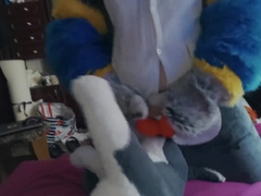 Freedy and Hauge mutt