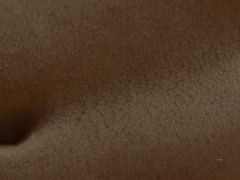 Getting in trouble with the bear