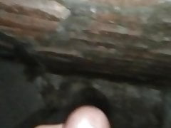 Mini penis