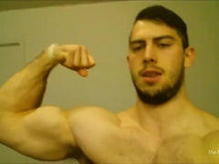 Muscle Teddy Idolize