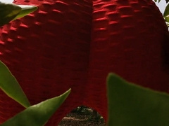 Estás Escondido En Los Arbustos, Espiandome Mientras Hago Estiramientos y Sentadillas