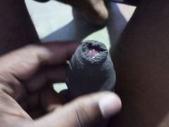 Tamil story with cock video play