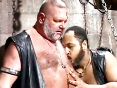 Blowjobs, gay hairy, assfuck