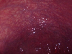 Inner Sight Immense Bad Dragon Flint Splays And Shoots A Load In My Caboose