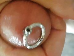 8mm Cockscrew
