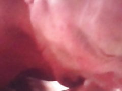 Larry licks my spot