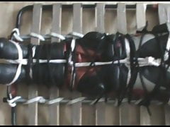 Immobilized bikerslave - 1