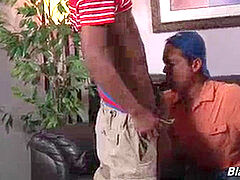 Caden Grey Having joy With two black Cocks