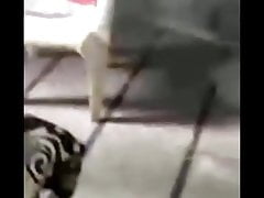 Car cum