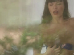 Dana DeArmond's Sexual Fantasy: Lingerie & Fingering