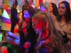 Amateur, Noire, Sucer une bite, Dingue, Queue, Groupe, Branlette thaïlandaise, Fête