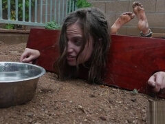 お尻, フェラチオ, 茶髪の, フェティッシュ, 足フェチ, ハードコア, Hd, オーガズム