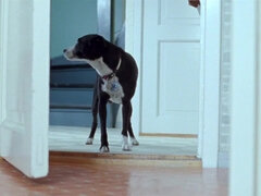 お尻, 美人, フェラチオ, セレブ, 古典, カワイイ, 乳首, オッパイの