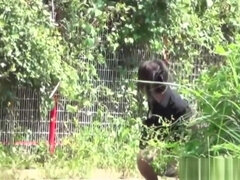 Азиатки, Жопа, Минет, Грудастые, Глубокая глотка, Натуральные, Соски, На публике