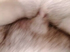 Leie, Bruder, Kitzler, Hd, Selbstgemacht, Indisch, Sperma, Eng