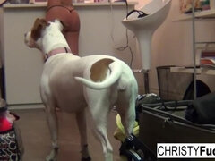 Kont, Grote mammen, Hd, Lesbisch, Likken, Natuurlijke tieten, Kut duiken, Trio