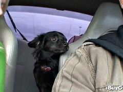 素人, ブロンド, ハメ撮り, 剃毛, 一人, ストッキング, ストリップ, ティーン