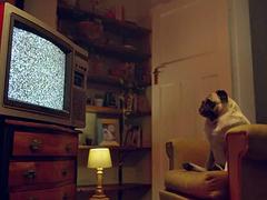 Любители, Красотки, Секс без цензуры