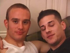 Ласковые ручки, Игрушки