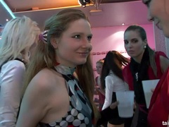 Blond, Genootschap, Hondjeshouding, Hardcore, Interraciaal, Kut duiken, Kousen, Swinger