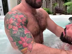 Bear in the pool