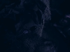 Анальный секс, Армия, Минет, Брюнетки, Сперма во рту, Секс без цензуры, Втроем, Игрушки