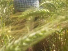 Анальный секс, Азиатки, Хд, Соски, Бассейн, На публике, Киски, Жена