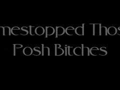 Robomeats Timestopped Those Posh Bitches