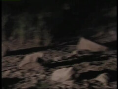 In den arsch, Bizarr, Blasen, Spermaladung, Dildo, Hardcore, Orgasmus, Muschi