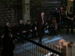 Merciless pussy humiliation