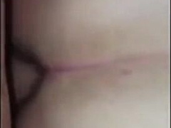 White Chub Breeds For The Very First Time